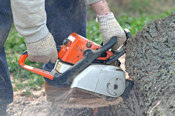 Best Lawn Dethatching  in Fowler, CA
